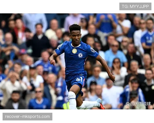 布莱顿攻防兼备状态回暖，稳步迈向英超新高峰