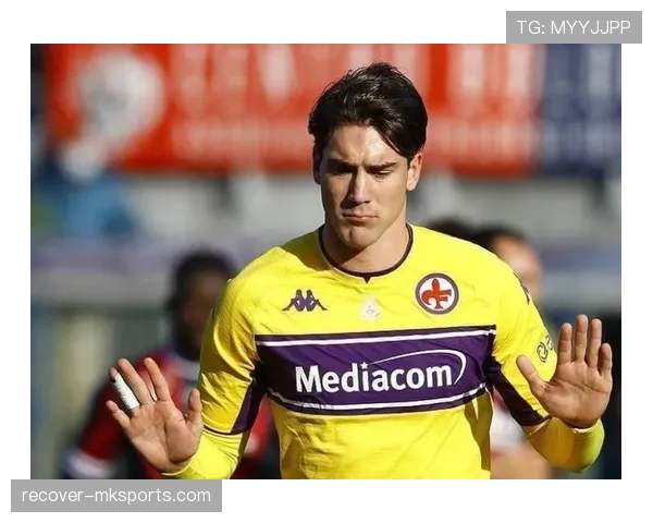 弗拉霍维奇与哈兰德终结能力级别差异解析